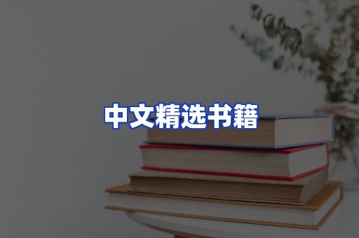 中文精选书籍